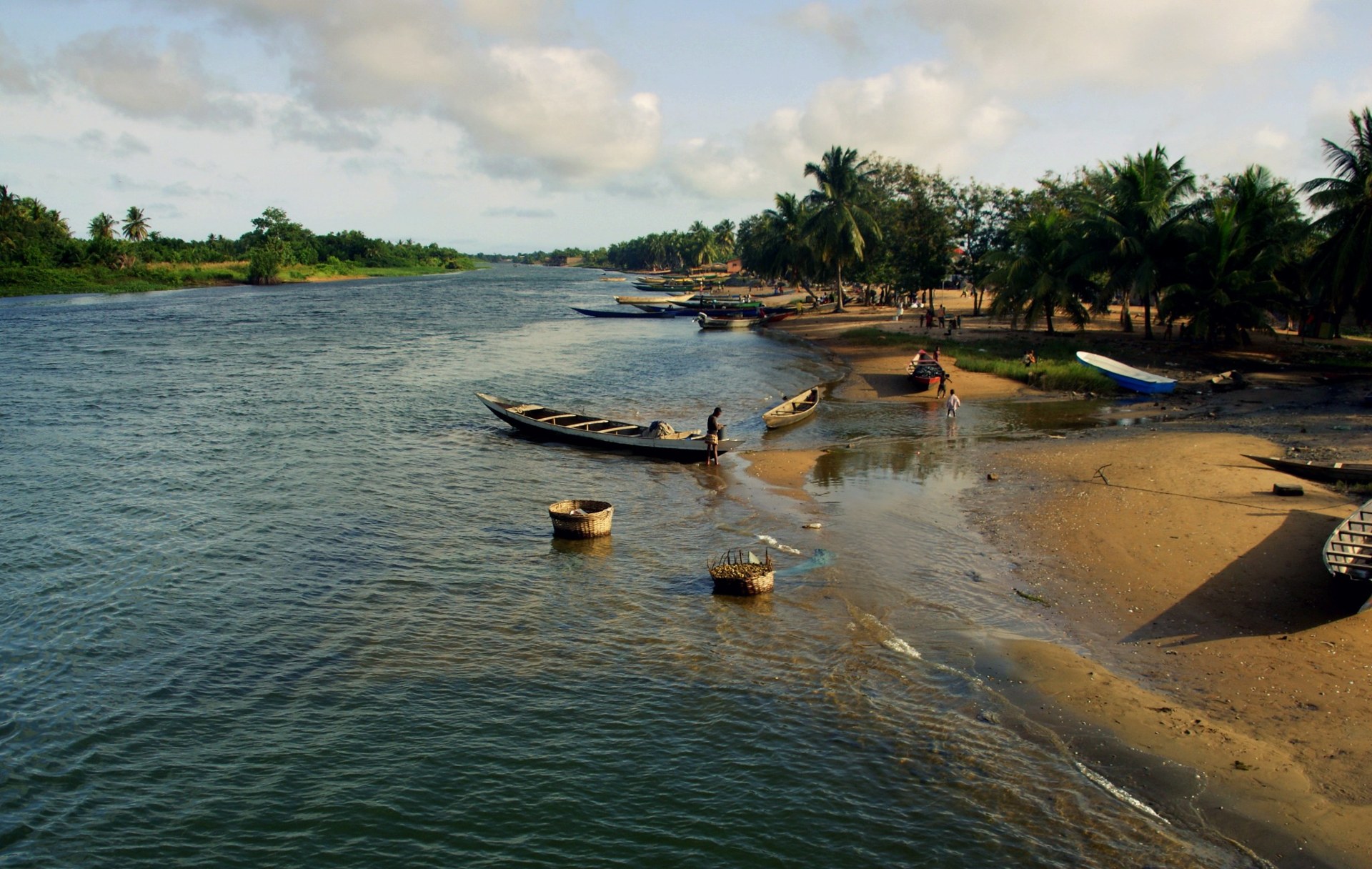 Boats and palm-lined waterfront